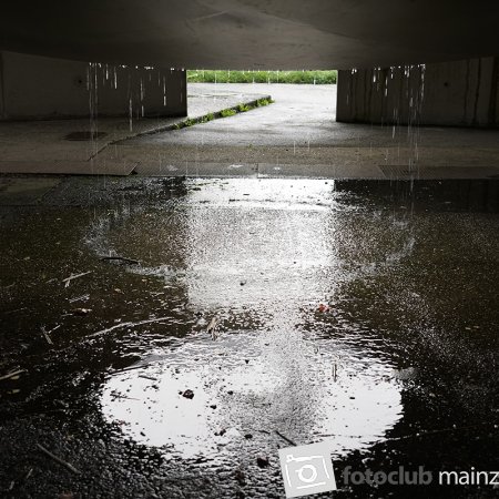 2025 Hombroich &amp; Düsseldorf - Bernd Nootbaar: &quot;Nach dem Regen&quot;